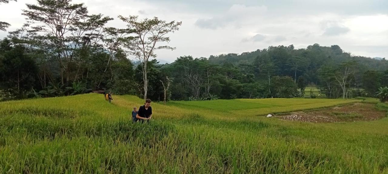 Toraja Bungin Homestay Rantepao Esterno foto